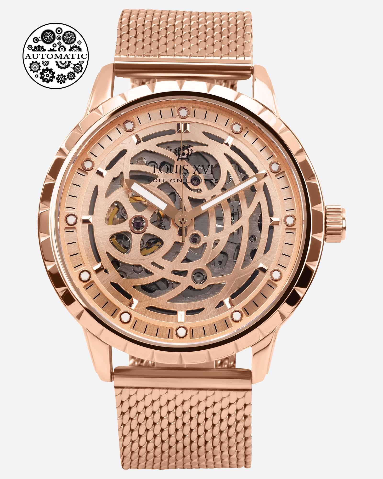 Paris 2010 – Automatic Skeleton Watch – Swiss Made