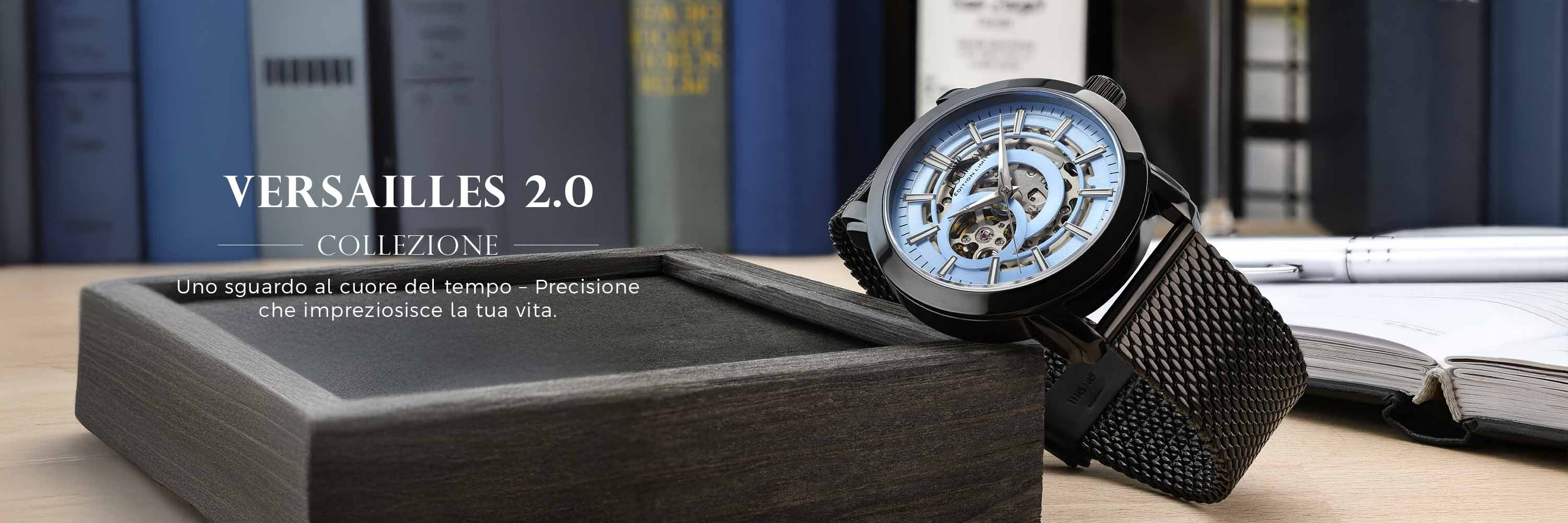 Versailles-2-LOUIS XVI